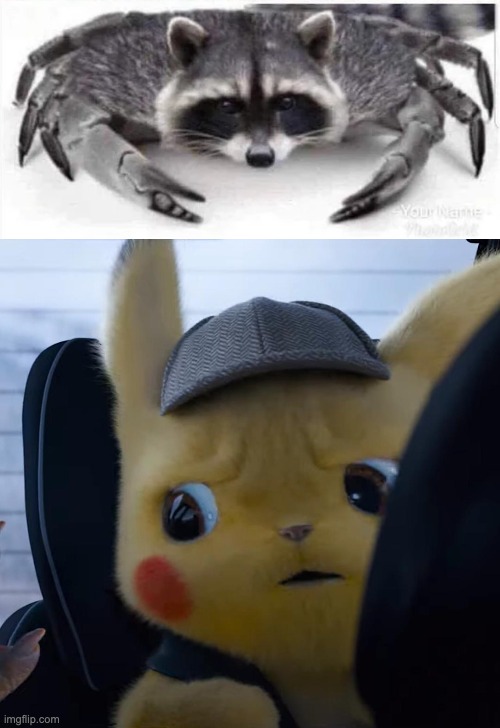 ewewewewe | image tagged in unsettled detective pikachu | made w/ Imgflip meme maker