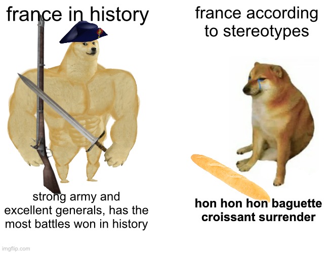 rip france’s reputation | france in history; france according to stereotypes; strong army and excellent generals, has the most battles won in history; hon hon hon baguette croissant surrender | image tagged in memes,buff doge vs cheems,france,stereotypes | made w/ Imgflip meme maker