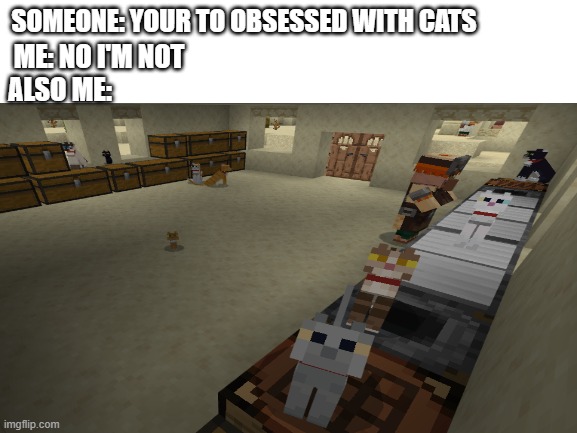 what? | SOMEONE: YOUR TO OBSESSED WITH CATS; ME: NO I'M NOT; ALSO ME: | made w/ Imgflip meme maker