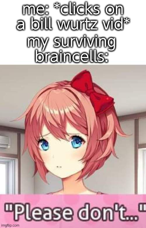 Please don't | me: *clicks on a bill wurtz vid*; my surviving braincells: | image tagged in please don't | made w/ Imgflip meme maker