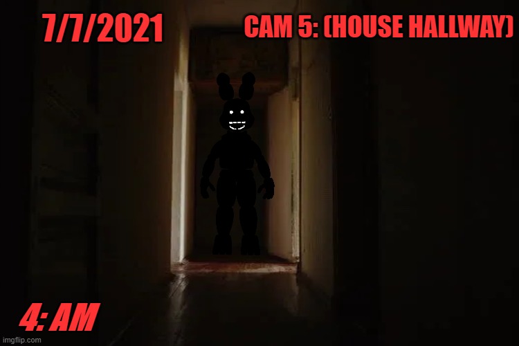 4: AM CAM 5: (HOUSE HALLWAY) 7/7/2021 | made w/ Imgflip meme maker