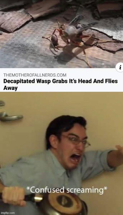 image tagged in filthy frank confused scream | made w/ Imgflip meme maker