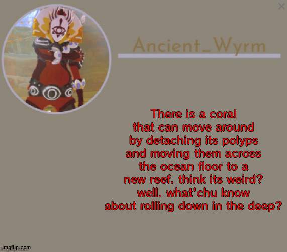 ssf,kvdeuj8ydi7nkdpl0yxrju | There is a coral that can move around by detaching its polyps and moving them across the ocean floor to a new reef. think its weird? well. what'chu know about rolling down in the deep? | image tagged in ancient_wyrm's announcement temp | made w/ Imgflip meme maker