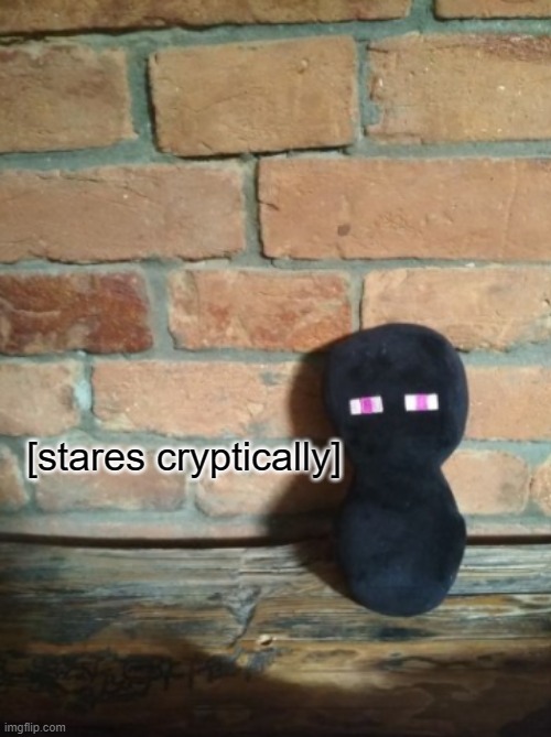 not my photo btw | [stares cryptically] | made w/ Imgflip meme maker