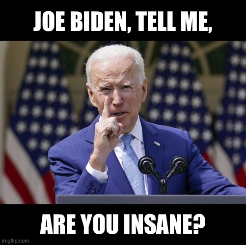 Joe Biden, are you insane? | JOE BIDEN, TELL ME, ARE YOU INSANE? | image tagged in joe biden,creepy joe biden,biden,communist,democrat party,traitor | made w/ Imgflip meme maker
