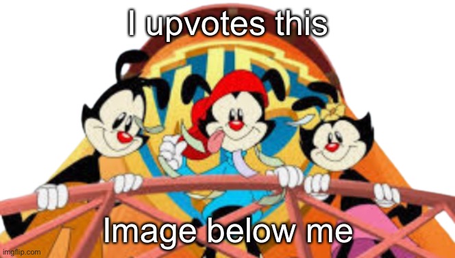 Animaniacs looking down | I upvotes this; Image below me | image tagged in animaniacs looking down | made w/ Imgflip meme maker