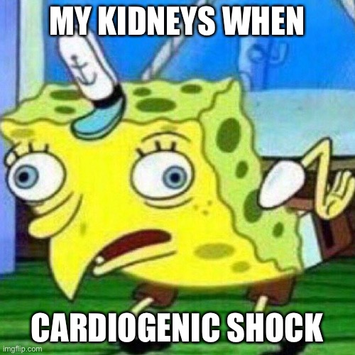 Cardiogenic shock | MY KIDNEYS WHEN; CARDIOGENIC SHOCK | image tagged in triggerpaul,kidneys,cardiogenic,shock | made w/ Imgflip meme maker