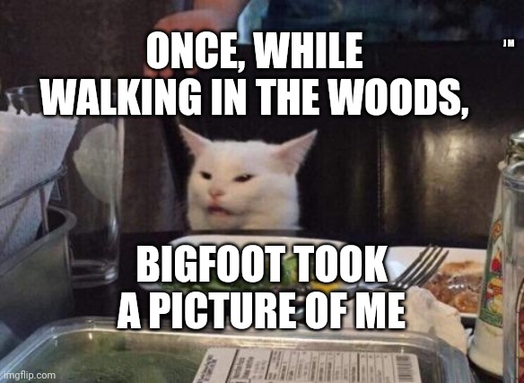 Salad cat | ONCE, WHILE WALKING IN THE WOODS, J M; BIGFOOT TOOK A PICTURE OF ME | image tagged in salad cat | made w/ Imgflip meme maker