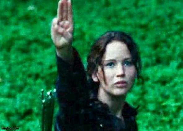 Katniss salute | image tagged in katniss salute | made w/ Imgflip meme maker