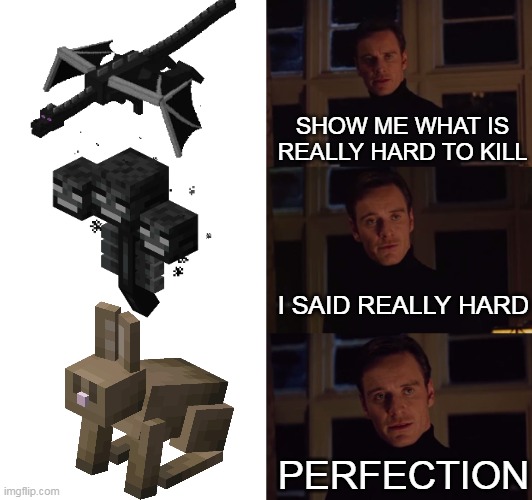 I was about to put bats instead but I realized I accidentally killed them alot |  SHOW ME WHAT IS REALLY HARD TO KILL; I SAID REALLY HARD; PERFECTION | image tagged in perfection,minecraft | made w/ Imgflip meme maker