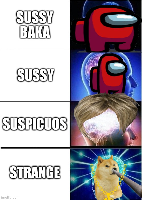 a | SUSSY BAKA; SUSSY; SUSPICUOS; STRANGE | image tagged in memes,expanding brain | made w/ Imgflip meme maker