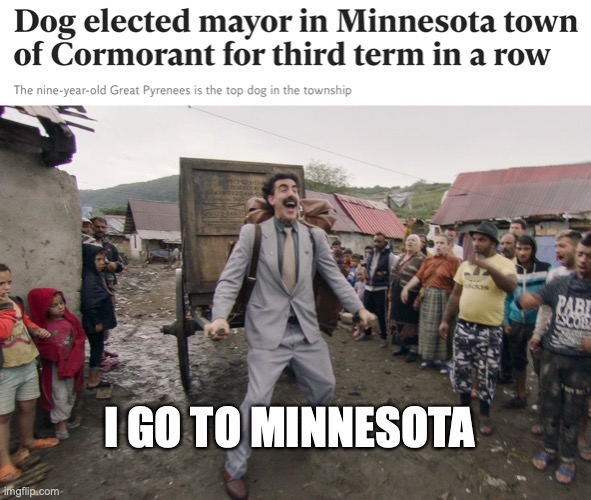 Cormorant must be a good town. | I GO TO MINNESOTA | image tagged in borat i go to america,dog | made w/ Imgflip meme maker