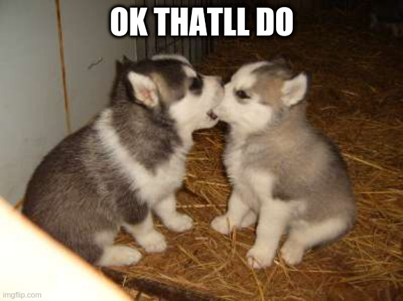 Cute Puppies | OK THATLL DO | image tagged in memes,cute puppies | made w/ Imgflip meme maker