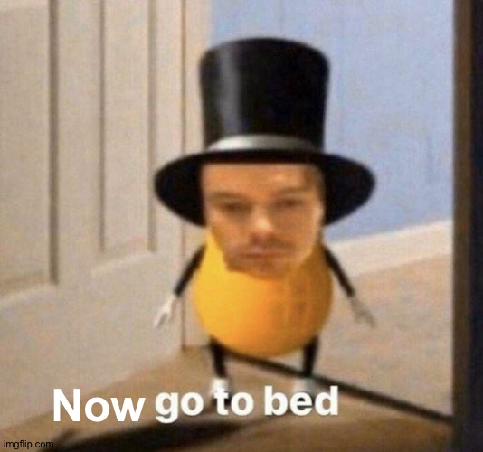 go to bed | Now | image tagged in go to bed | made w/ Imgflip meme maker
