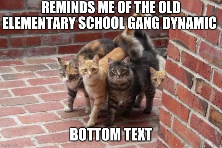 REMINDS ME OF THE OLD ELEMENTARY SCHOOL GANG DYNAMIC; BOTTOM TEXT | made w/ Imgflip meme maker