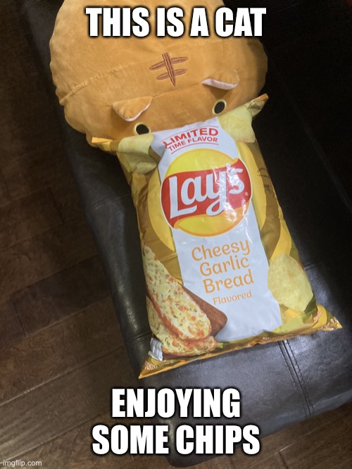 Cat chips |  THIS IS A CAT; ENJOYING SOME CHIPS | image tagged in meow | made w/ Imgflip meme maker