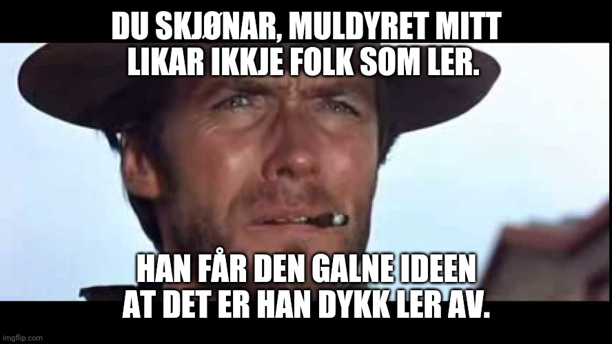 My mule don't like you laughing | DU SKJØNAR, MULDYRET MITT LIKAR IKKJE FOLK SOM LER. HAN FÅR DEN GALNE IDEEN AT DET ER HAN DYKK LER AV. | image tagged in my mule don't like you laughing | made w/ Imgflip meme maker