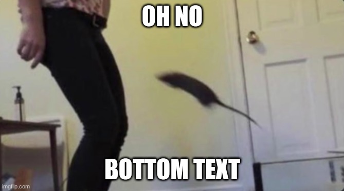 OH NO; BOTTOM TEXT | made w/ Imgflip meme maker