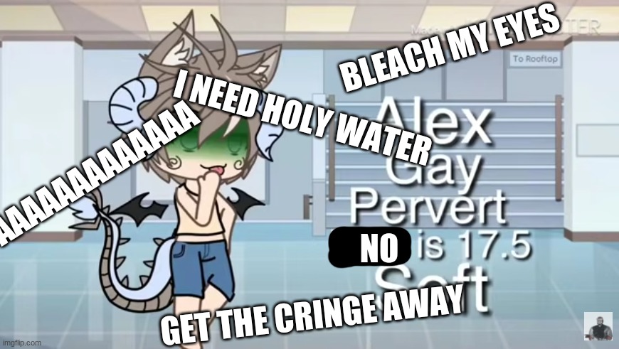 BLEACH MY EYES; I NEED HOLY WATER; AAAAAAAAAAAAA; NO; GET THE CRINGE AWAY | made w/ Imgflip meme maker
