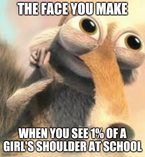 Ice age squirrel in love | THE FACE YOU MAKE; WHEN YOU SEE 1% OF A GIRL'S SHOULDER AT SCHOOL | image tagged in ice age squirrel in love,memes,girl,school,funny,shoulder | made w/ Imgflip meme maker
