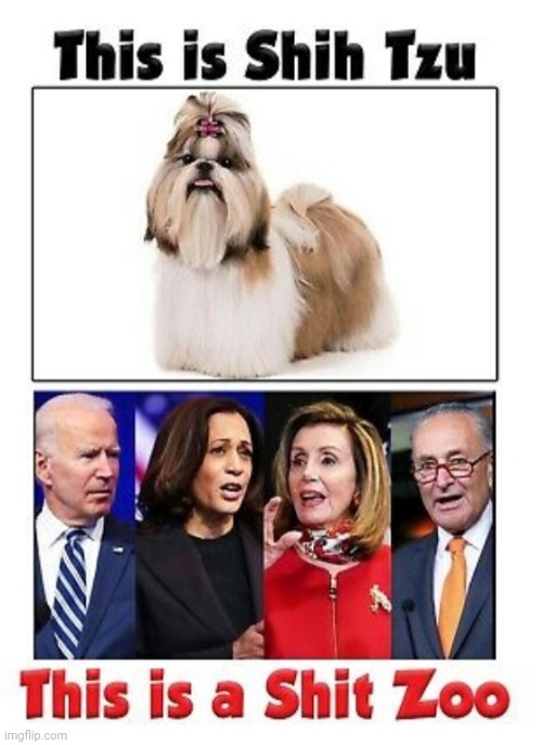 Instead of CRT, let's start with this lesson in elementary school | image tagged in liberal logic,stupid liberals | made w/ Imgflip meme maker