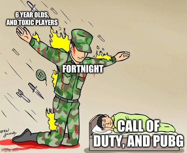 6 YEAR OLDS, AND TOXIC PLAYERS; FORTNIGHT; CALL OF DUTY, AND PUBG | image tagged in fortnite | made w/ Imgflip meme maker