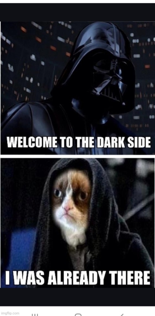 Let the hate flow through you | image tagged in grumpy cat,information | made w/ Imgflip meme maker