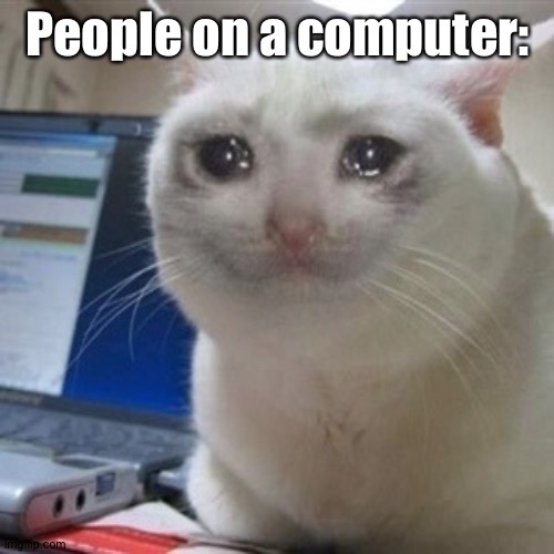 Crying cat | People on a computer: | image tagged in crying cat | made w/ Imgflip meme maker