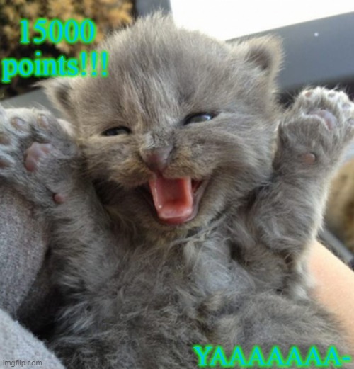 Excited kitten | 15000 points!!! YAAAAAAA- | image tagged in excited kitten | made w/ Imgflip meme maker