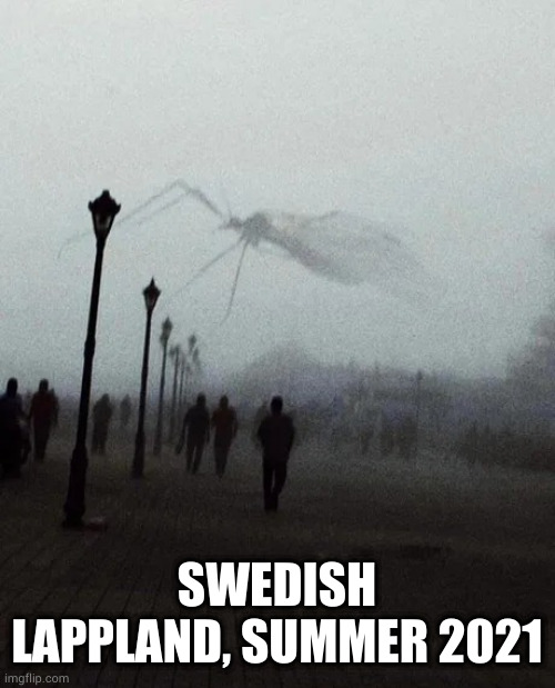 Lappland's Air force | SWEDISH LAPPLAND, SUMMER 2021 | image tagged in lappland's air force | made w/ Imgflip meme maker