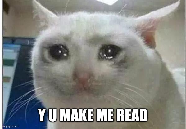 crying cat | Y U MAKE ME READ | image tagged in crying cat | made w/ Imgflip meme maker