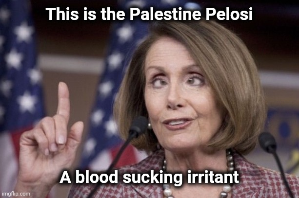Nancy pelosi | This is the Palestine Pelosi A blood sucking irritant | image tagged in nancy pelosi | made w/ Imgflip meme maker