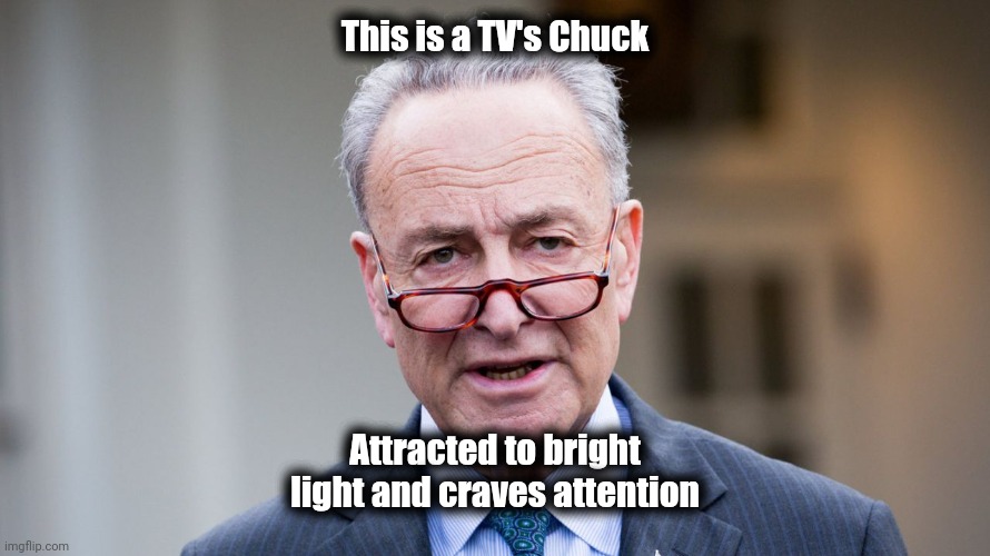 chuck schumer | This is a TV's Chuck Attracted to bright light and craves attention | image tagged in chuck schumer | made w/ Imgflip meme maker
