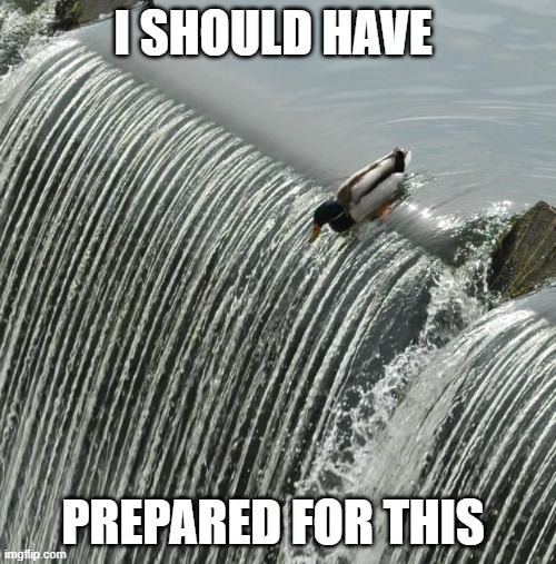 when u don't prepare | I SHOULD HAVE; PREPARED FOR THIS | image tagged in i should have seen it coming mallard | made w/ Imgflip meme maker