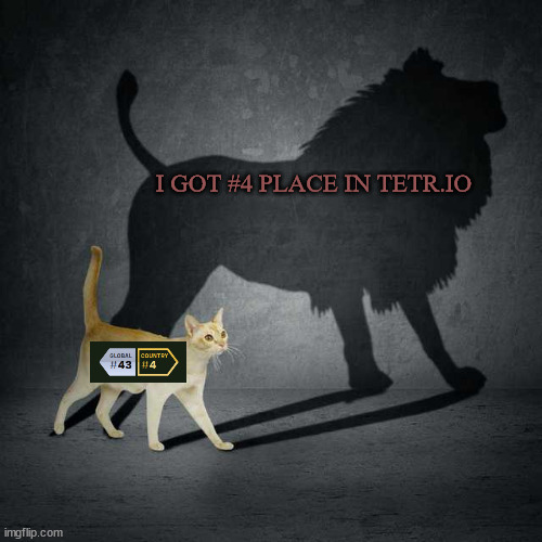 TETR.IO showoffers be like: | I GOT #4 PLACE IN TETR.IO | image tagged in cat with lion shadow,tetris,tetrio | made w/ Imgflip meme maker