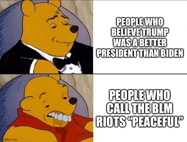 Imgflip is the only good place I can post this | PEOPLE WHO BELIEVE TRUMP WAS A BETTER PRESIDENT THAN BIDEN; PEOPLE WHO CALL THE BLM RIOTS “PEACEFUL” | image tagged in tuxedo winnie the pooh grossed reverse | made w/ Imgflip meme maker