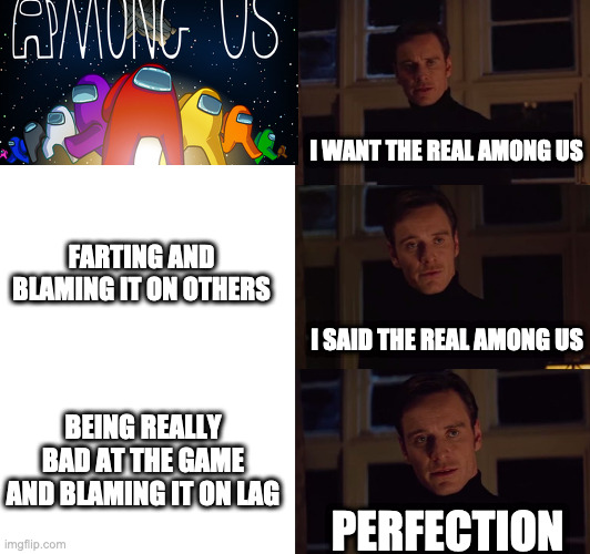 after 10000 years i am back | I WANT THE REAL AMONG US; FARTING AND BLAMING IT ON OTHERS; I SAID THE REAL AMONG US; BEING REALLY BAD AT THE GAME AND BLAMING IT ON LAG; PERFECTION | image tagged in perfection | made w/ Imgflip meme maker
