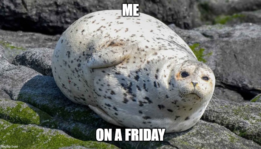 Fridays be lik | ME; ON A FRIDAY | image tagged in memes,seal | made w/ Imgflip meme maker