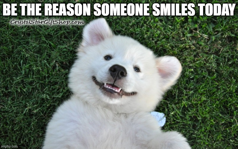 Be the reason someone smiles today! | BE THE REASON SOMEONE SMILES TODAY; CrystalStarGiftShop.com | image tagged in smile,happy dog | made w/ Imgflip meme maker