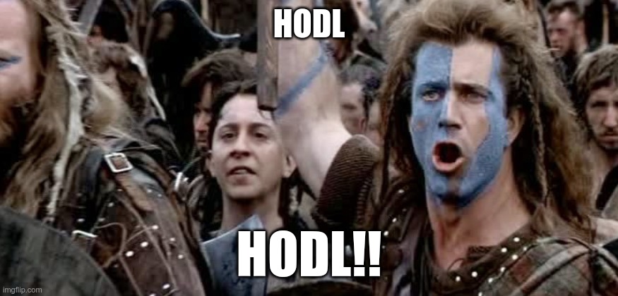 hodl, HODL!! For the apes #amc #gme |  HODL; HODL!! | image tagged in hodl,apes,amc,gme | made w/ Imgflip meme maker