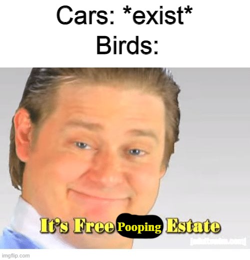 It's Free Real Estate | Cars: *exist*; Birds:; Pooping | image tagged in it's free real estate | made w/ Imgflip meme maker