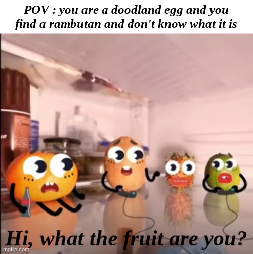 Hi, what the fruit are you? | POV : you are a doodland egg and you find a rambutan and don't know what it is | image tagged in hi what the fruit are you | made w/ Imgflip meme maker