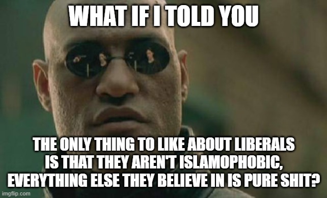 Matrix Morpheus Meme | WHAT IF I TOLD YOU; THE ONLY THING TO LIKE ABOUT LIBERALS IS THAT THEY AREN'T ISLAMOPHOBIC, EVERYTHING ELSE THEY BELIEVE IN IS PURE SHIT? | image tagged in memes,matrix morpheus,islamophobia,liberals,shit | made w/ Imgflip meme maker