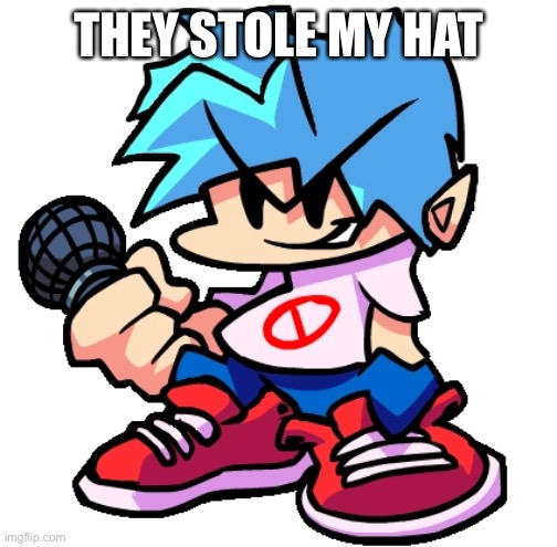 THEY STOLE MY HAT | made w/ Imgflip meme maker