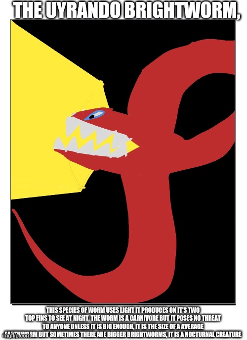 Is digital art allowed | THE UYRANDO BRIGHTWORM, THIS SPECIES OF WORM USES LIGHT IT PRODUCES ON IT'S TWO TOP FINS TO SEE AT NIGHT, THE WORM IS A CARNIVORE BUT IT POSES NO THREAT TO ANYONE UNLESS IT IS BIG ENOUGH, IT IS THE SIZE OF A AVERAGE EARTHWORM BUT SOMETIMES THERE ARE BIGGER BRIGHTWORMS, IT IS A NOCTURNAL CREATURE | image tagged in species introduction | made w/ Imgflip meme maker