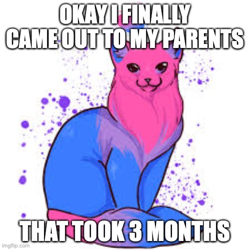 They accepted me I'M HAPPY NOW | OKAY I FINALLY CAME OUT TO MY PARENTS; THAT TOOK 3 MONTHS | image tagged in bisexual cat | made w/ Imgflip meme maker