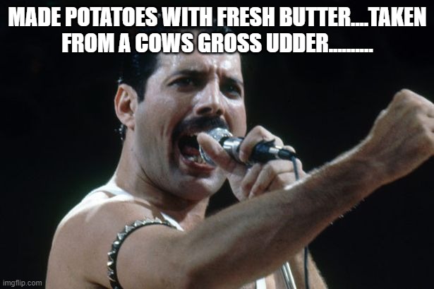 Freddie Mercury | MADE POTATOES WITH FRESH BUTTER....TAKEN FROM A COWS GROSS UDDER.......... | image tagged in freddie mercury | made w/ Imgflip meme maker