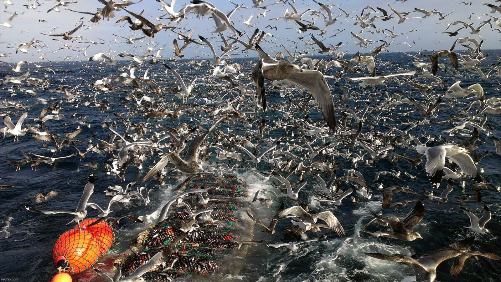 image tagged in awesome | made w/ Imgflip meme maker