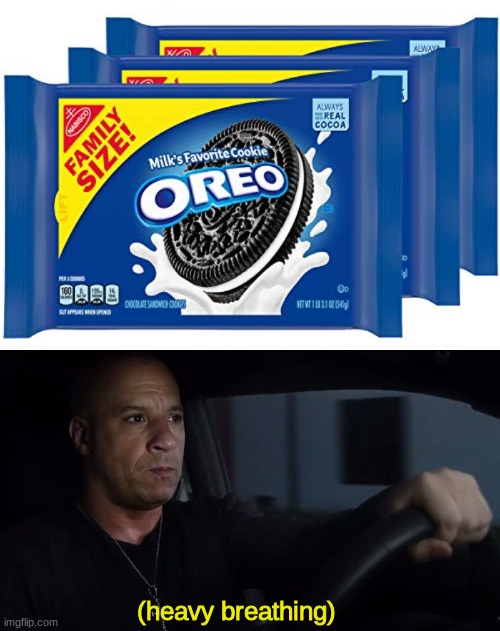 Sorry if the meme is annoying I'm doing my best | (heavy breathing) | image tagged in fast and furious,vin diesel,family | made w/ Imgflip meme maker