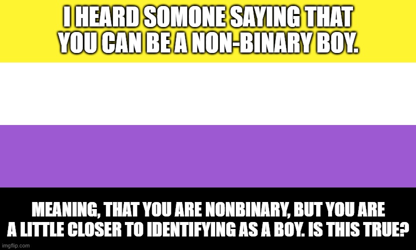 Nonbinary | I HEARD SOMONE SAYING THAT YOU CAN BE A NON-BINARY BOY. MEANING, THAT YOU ARE NONBINARY, BUT YOU ARE A LITTLE CLOSER TO IDENTIFYING AS A BOY. IS THIS TRUE? | image tagged in nonbinary | made w/ Imgflip meme maker